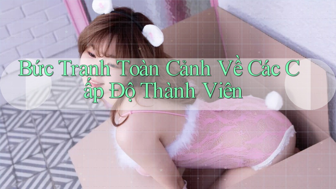 Bức Tranh Toàn Cảnh Về Các Cấp Độ Thành Viên