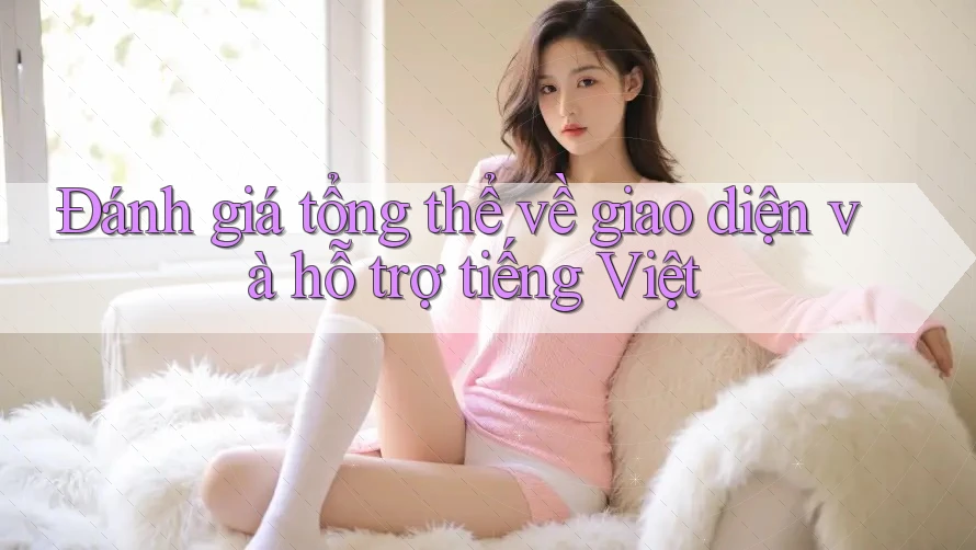 Đánh giá tổng thể về giao diện và hỗ trợ tiếng Việt