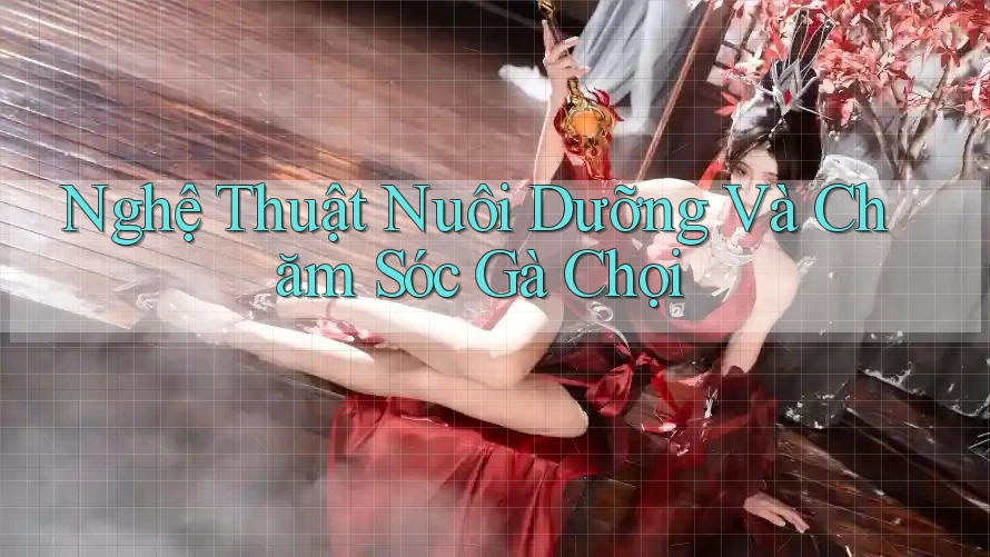 Nghệ Thuật Nuôi Dưỡng Và Chăm Sóc Gà Chọi