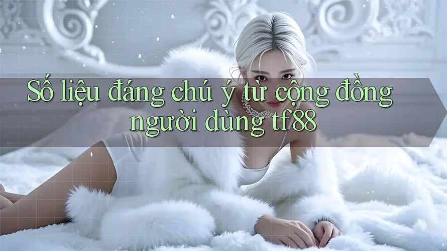 Số liệu đáng chú ý từ cộng đồng người dùng tf88