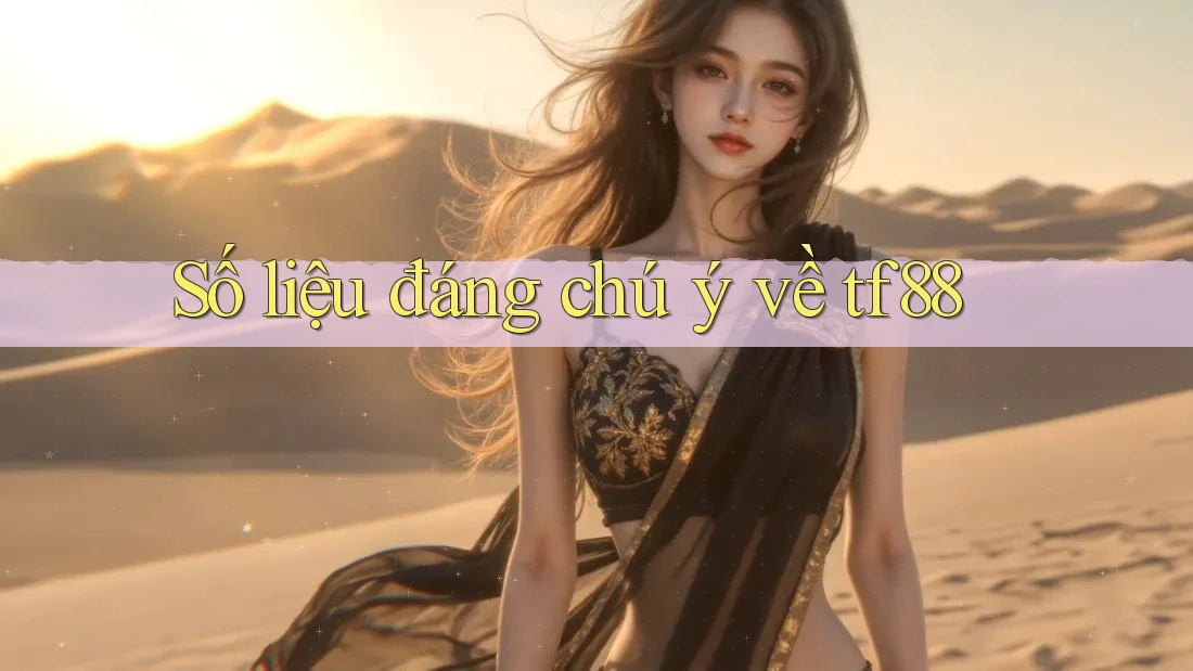 Số liệu đáng chú ý về tf88 Số liệu đáng chú ý về tf88
