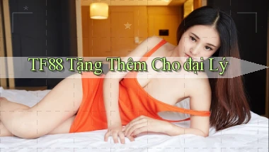 tf88  tặng thêm cho đại lý
