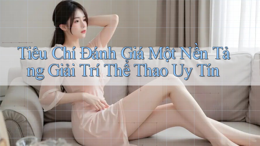 Tiêu Chí Đánh Giá Một Nền Tảng Giải Trí Thể Thao Uy Tín
