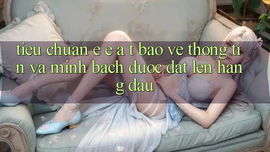 Tiêu Chuẩn E-E-A-T: Bảo vệ thông tin Và Minh bạch Được Đặt Lên Hàng Đầu